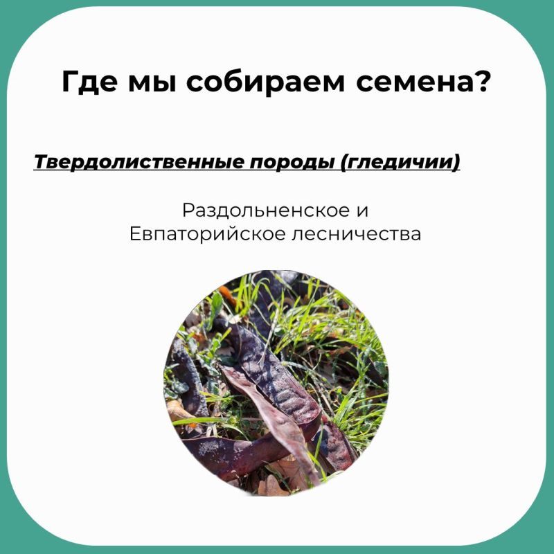 Врываемся в вашу ленту с рубрикой «Зелёные новости» Врываемся в вашу ленту с рубрикой «Зелёные новости»