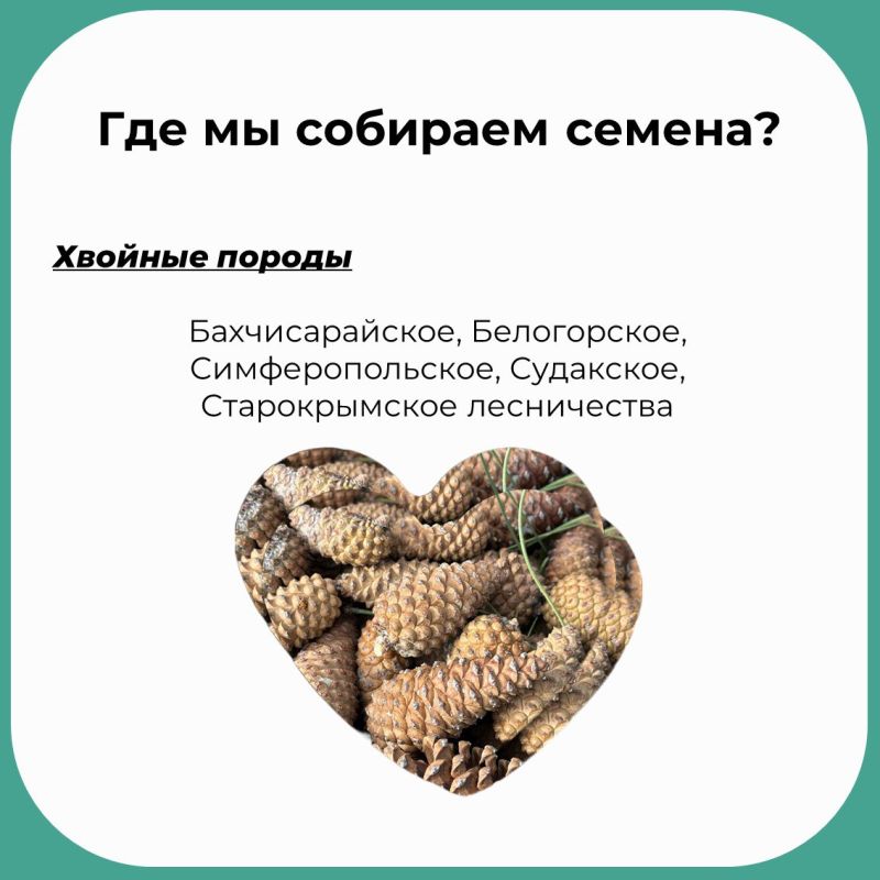 Врываемся в вашу ленту с рубрикой «Зелёные новости» Врываемся в вашу ленту с рубрикой «Зелёные новости»