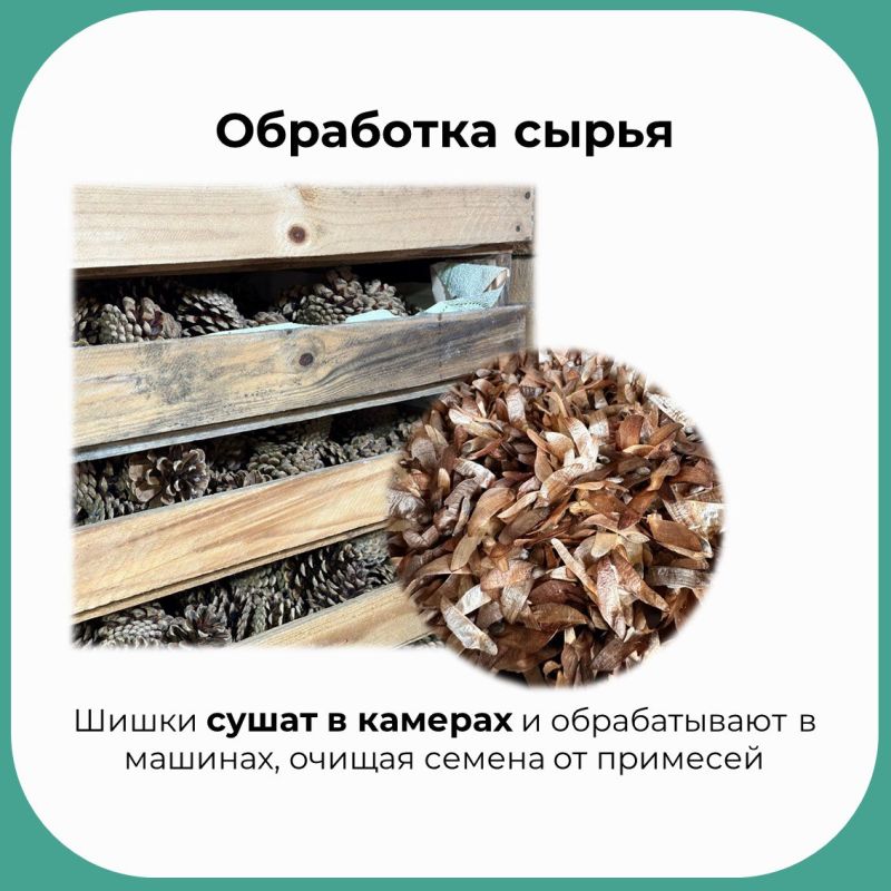 Врываемся в вашу ленту с рубрикой «Зелёные новости» Врываемся в вашу ленту с рубрикой «Зелёные новости»