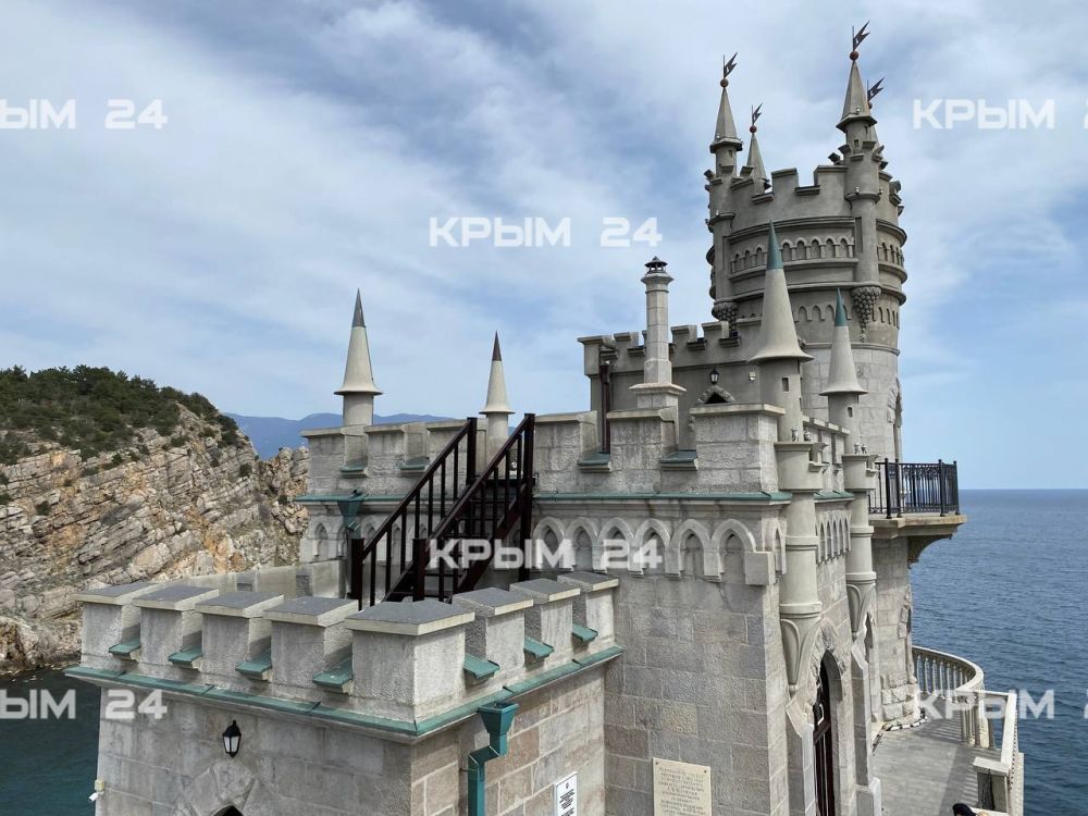 Чудом спасённую кошку Мусю привезли на территорию Ласточкиного гнезда Чудом спасённую кошку Мусю привезли на территорию Ласточкиного гнезда