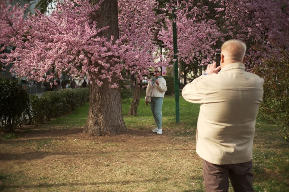 Янина Павленко: Только в Ялте такие яркие фотозоны Ну и те, кто в них участвует Приезжайте, друзья! Любуйтесь, но не рвите Добрых выходных вам Янина Павленко: Только в Ялте такие яркие фотозоны Ну и те, кто в них участвует Приезжайте, друзья! Любуйтесь, но не рвите Добрых выходных вам