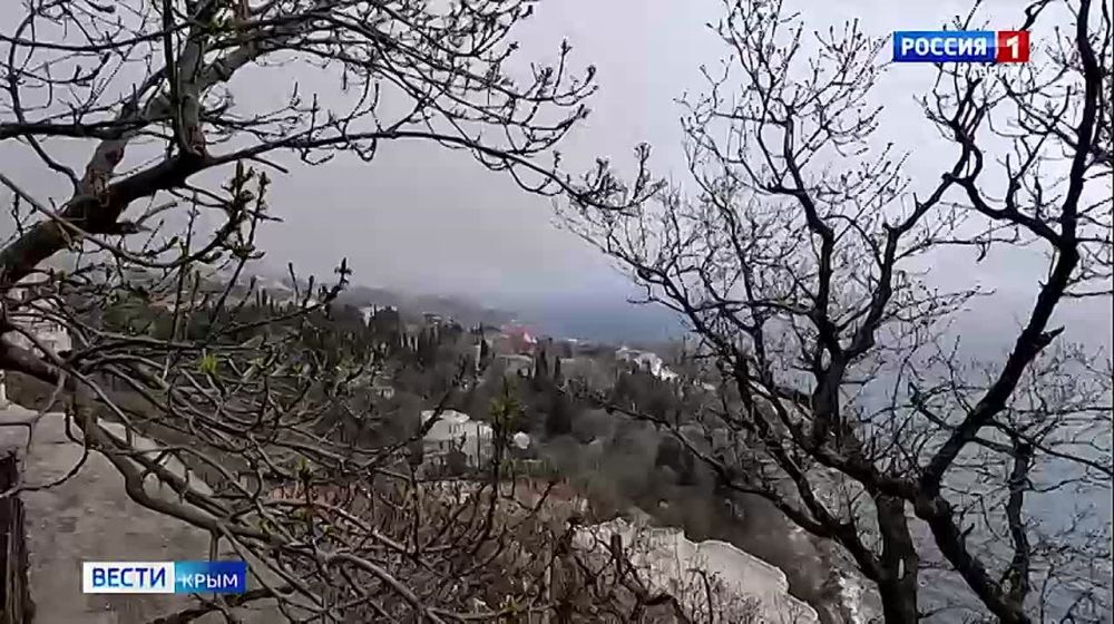 � ����� �� ������� ��� ��� ������ � ������� ����������� �������� ���������� ���������