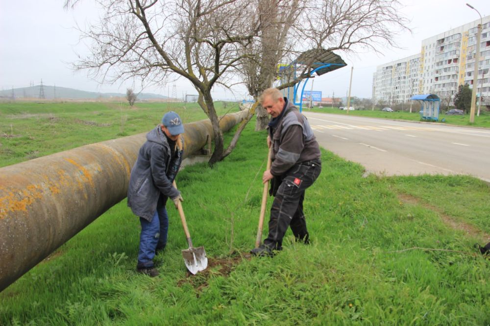 В Керчи ежедневно проводятся работы по озеленению городских территорий, сносу и кронированию деревьев, покосу травы В Керчи ежедневно проводятся работы по озеленению городских территорий, сносу и кронированию деревьев, покосу травы