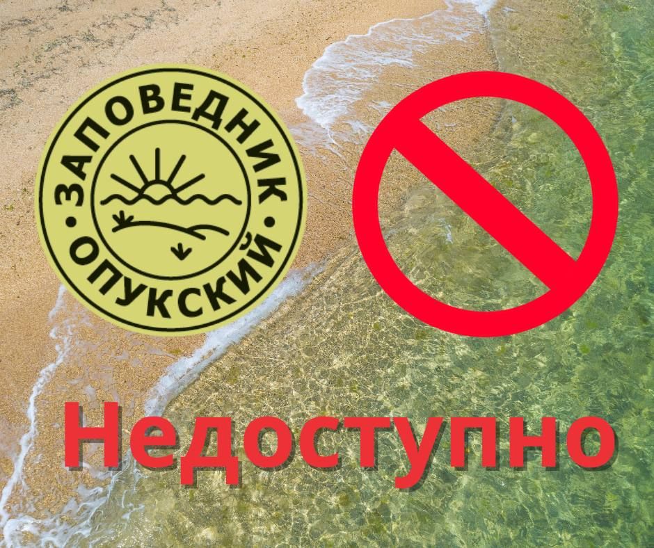 Казантипский заповедник в Крыму вновь принимает посетителей Казантипский заповедник в Крыму вновь принимает посетителей
