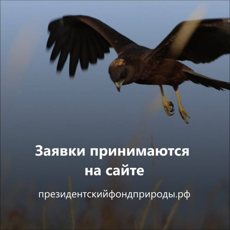 Есть идея для природы? Пора заявить о ней! Есть идея для природы? Пора заявить о ней!