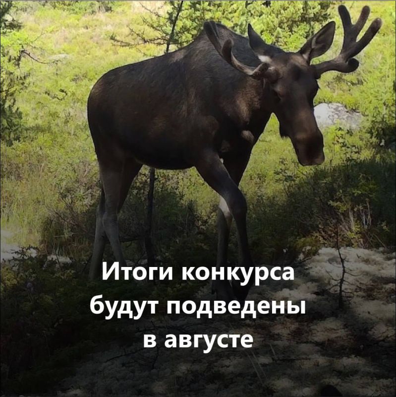 Есть идея для природы? Пора заявить о ней! Есть идея для природы? Пора заявить о ней!
