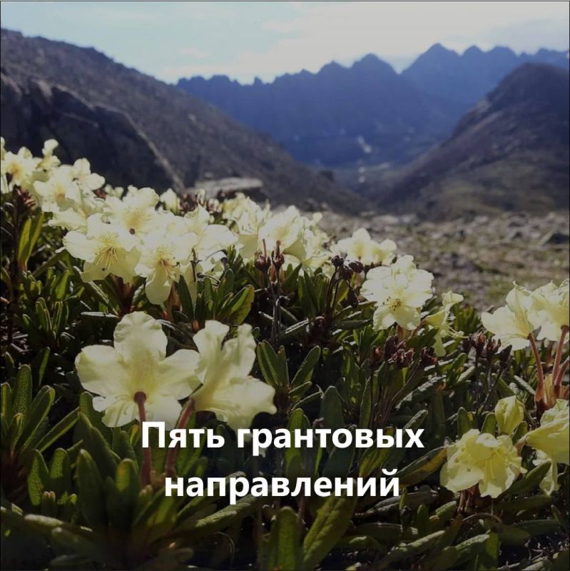 Есть идея для природы? Пора заявить о ней! Есть идея для природы? Пора заявить о ней!