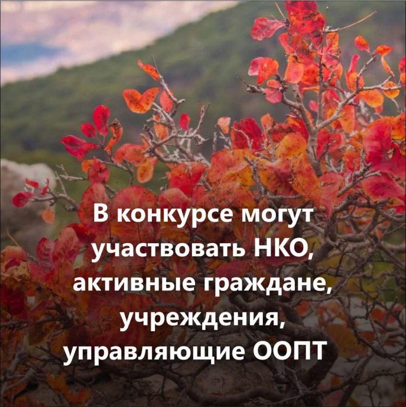 Есть идея для природы? Пора заявить о ней! Есть идея для природы? Пора заявить о ней!
