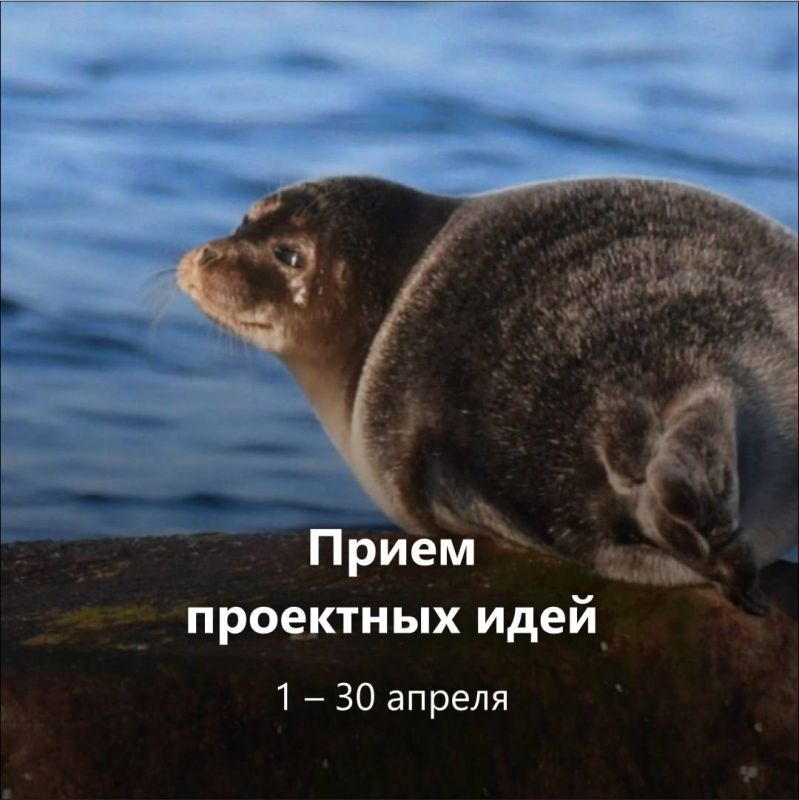 Есть идея для природы? Пора заявить о ней! Есть идея для природы? Пора заявить о ней!