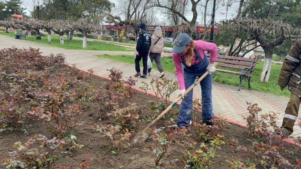 В День освобождения города от фашистских захватчиков в Керчи будет высажено 80 тополей В День освобождения города от фашистских захватчиков в Керчи будет высажено 80 тополей