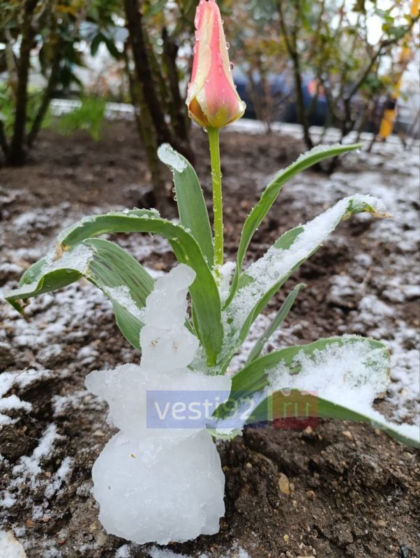 Доброе утро, Севастополь! Сегодня синоптики обещают немного солнца, но без весеннего тепла Доброе утро, Севастополь! Сегодня синоптики обещают немного солнца, но без весеннего тепла