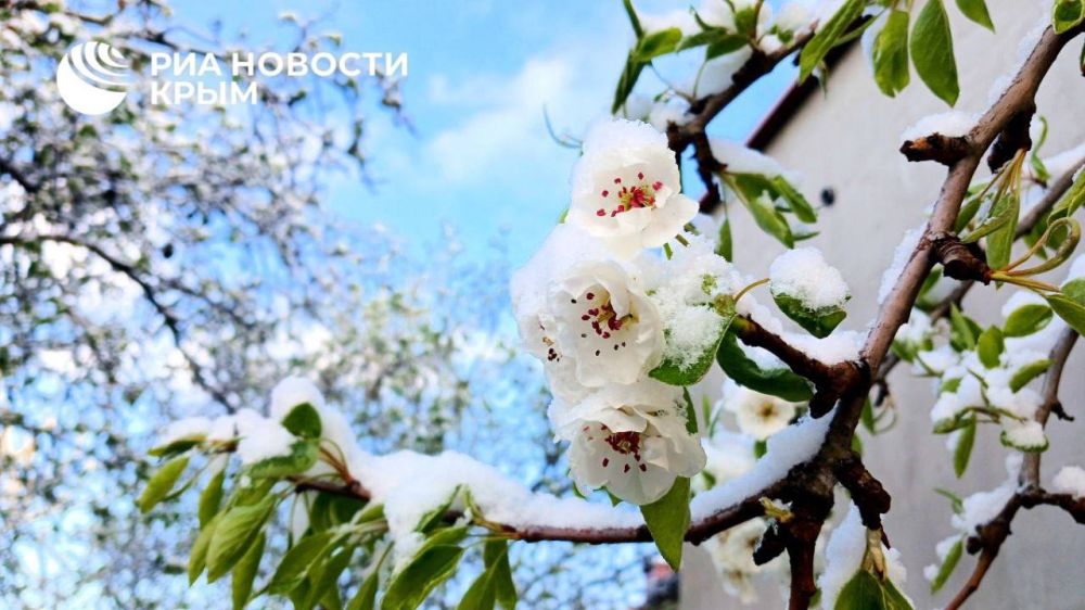 Красивое апрельское утро на полуострове – в фотоленте от РИА Новости Крым Красивое апрельское утро на полуострове – в фотоленте от РИА Новости Крым