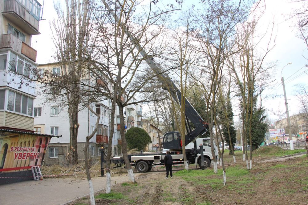 #зеленые_насаждения. В Керчи коммунальные службы продолжают работы по обрезке и сносу аварийных деревьев #зеленые_насаждения. В Керчи коммунальные службы продолжают работы по обрезке и сносу аварийных деревьев