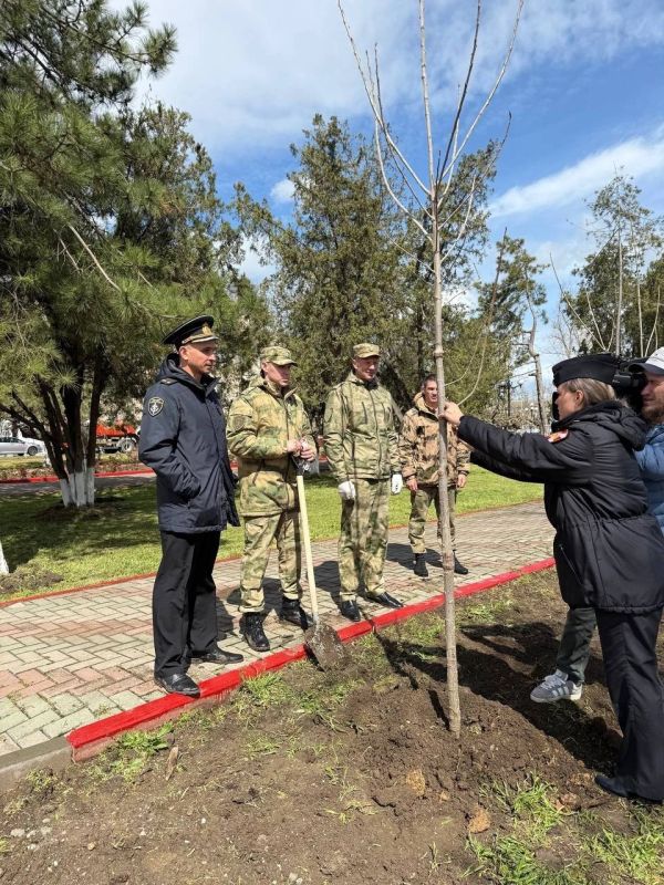 Ольга Шевцова: Мы помним! Мы гордимся!. Сегодня в городе-герое Керчь высадили Тополь Победы в рамках Международной акции «Сад памяти» ВАЖНО Ольга Шевцова: Мы помним! Мы гордимся!. Сегодня в городе-герое Керчь высадили Тополь Победы в рамках Международной акции «Сад памяти» ВАЖНО