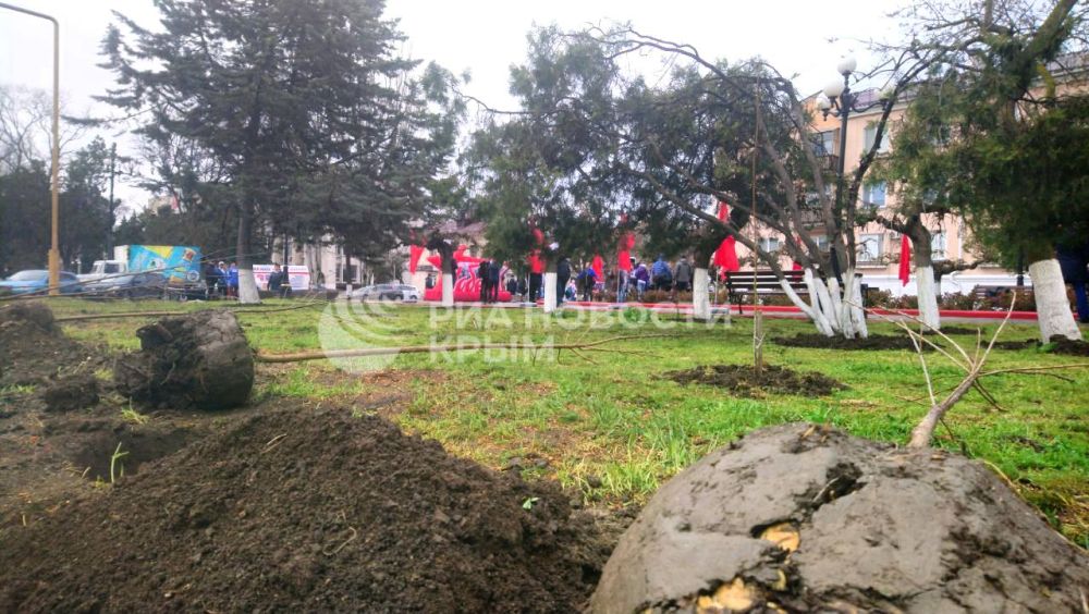 В Керчи высадили Тополь Победы В Керчи высадили Тополь Победы