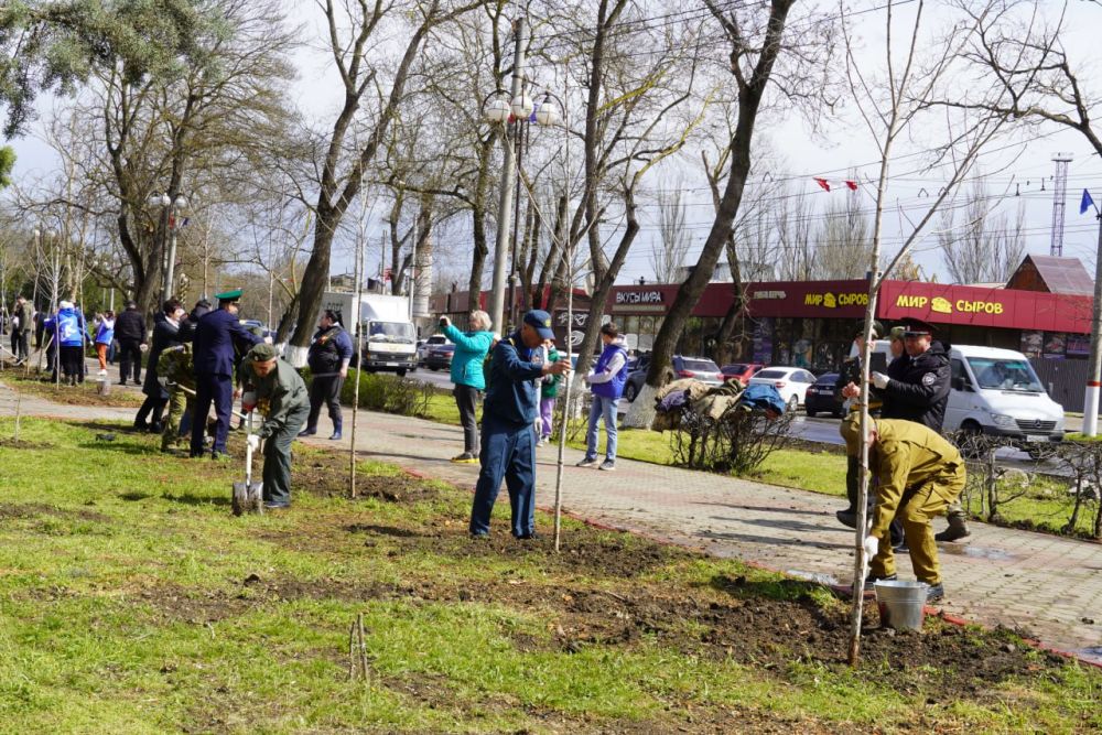 В рамках акции «Сад памяти» в Керчи высадили два саженца Тополя Победы и 80 краснолистных тополей В рамках акции «Сад памяти» в Керчи высадили два саженца Тополя Победы и 80 краснолистных тополей