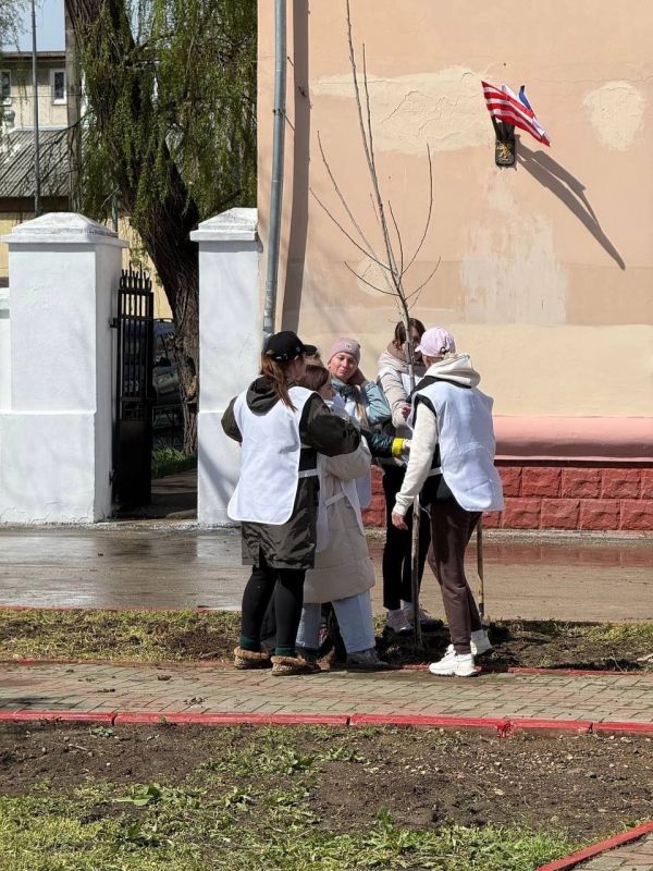 Ольга Шевцова: Мы помним! Мы гордимся!. Сегодня в городе-герое Керчь высадили Тополь Победы в рамках Международной акции «Сад памяти» ВАЖНО Ольга Шевцова: Мы помним! Мы гордимся!. Сегодня в городе-герое Керчь высадили Тополь Победы в рамках Международной акции «Сад памяти» ВАЖНО