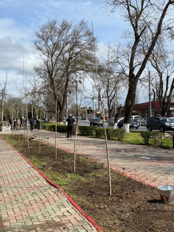 Михаил Назаров: В рамках Международной акции «Сад памяти» сегодня в центральном сквере имени Тараса Шевченко города Керчь высадили Тополь Победы- клон дерева – долгожителя, пережившего Сталинградскую битву Михаил Назаров: В рамках Международной акции «Сад памяти» сегодня в центральном сквере имени Тараса Шевченко города Керчь высадили Тополь Победы- клон дерева – долгожителя, пережившего Сталинградскую битву