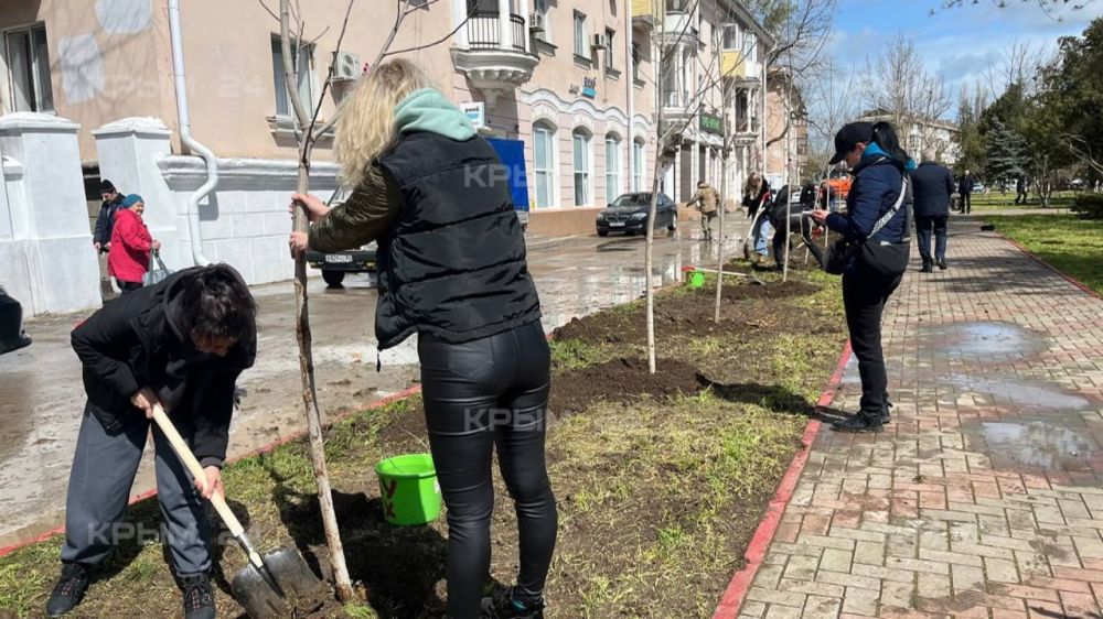 Тополь Победы посадили в Керчи в честь Дня освобождения города Тополь Победы посадили в Керчи в честь Дня освобождения города