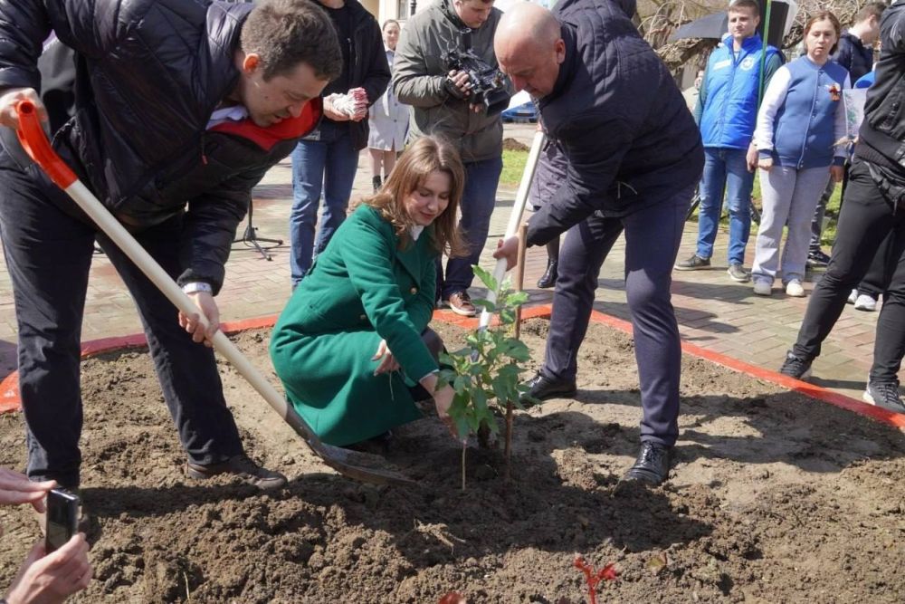 Ольга Шевцова: Мы помним! Мы гордимся!. Сегодня в городе-герое Керчь высадили Тополь Победы в рамках Международной акции «Сад памяти» ВАЖНО Ольга Шевцова: Мы помним! Мы гордимся!. Сегодня в городе-герое Керчь высадили Тополь Победы в рамках Международной акции «Сад памяти» ВАЖНО