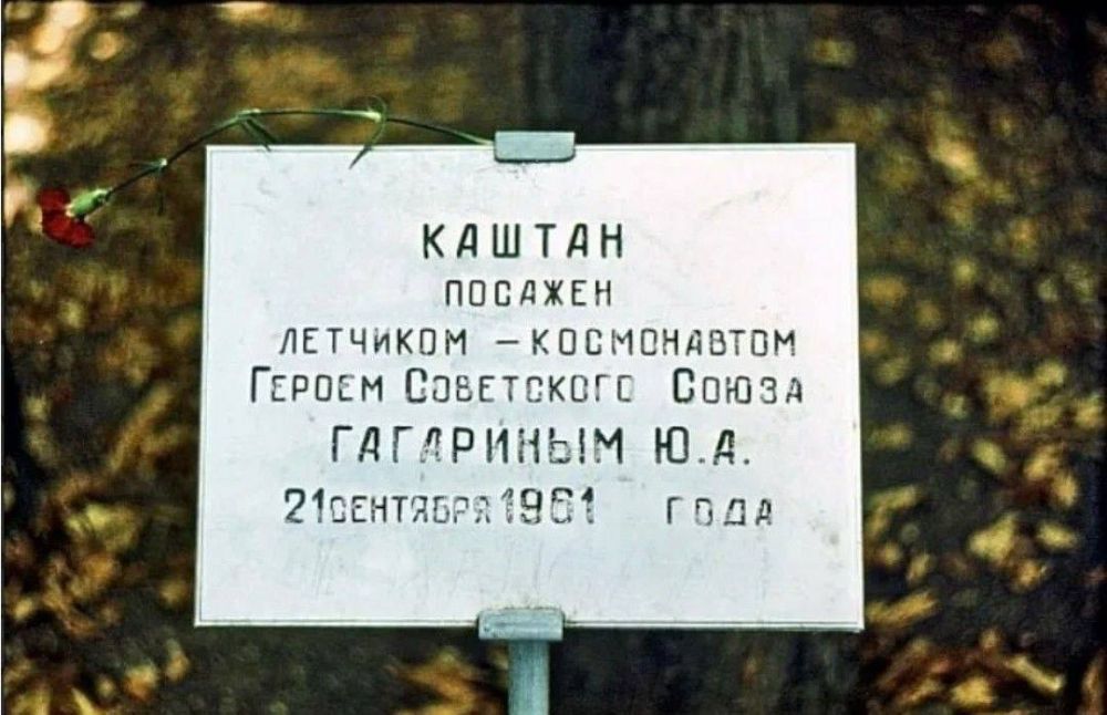 Екатерина Алтабаева: 12 апреля в России отмечают День космонавтики! Екатерина Алтабаева: 12 апреля в России отмечают День космонавтики!