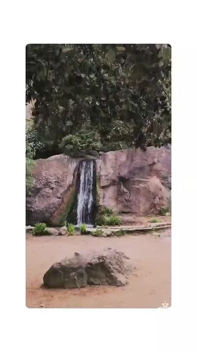    .   