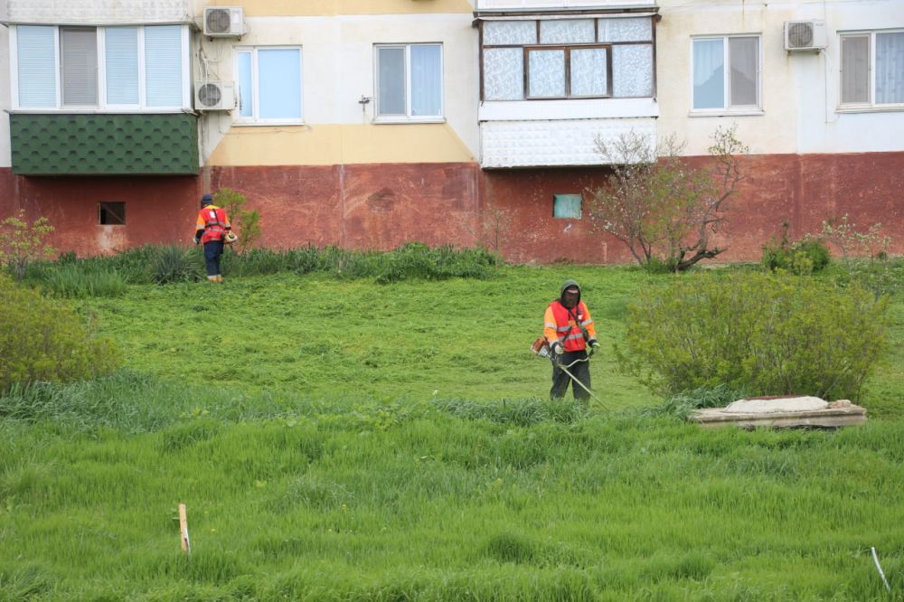 #жкх. Управляющие организации приступили к покосу травы во дворах МКД #жкх. Управляющие организации приступили к покосу травы во дворах МКД