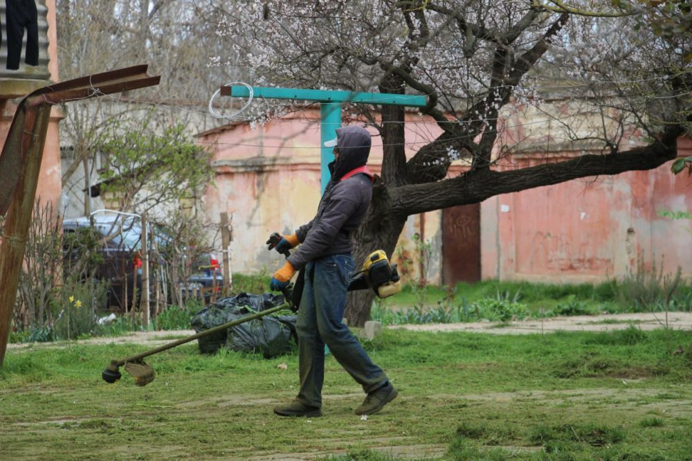 #жкх. Управляющие организации приступили к покосу травы во дворах МКД #жкх. Управляющие организации приступили к покосу травы во дворах МКД
