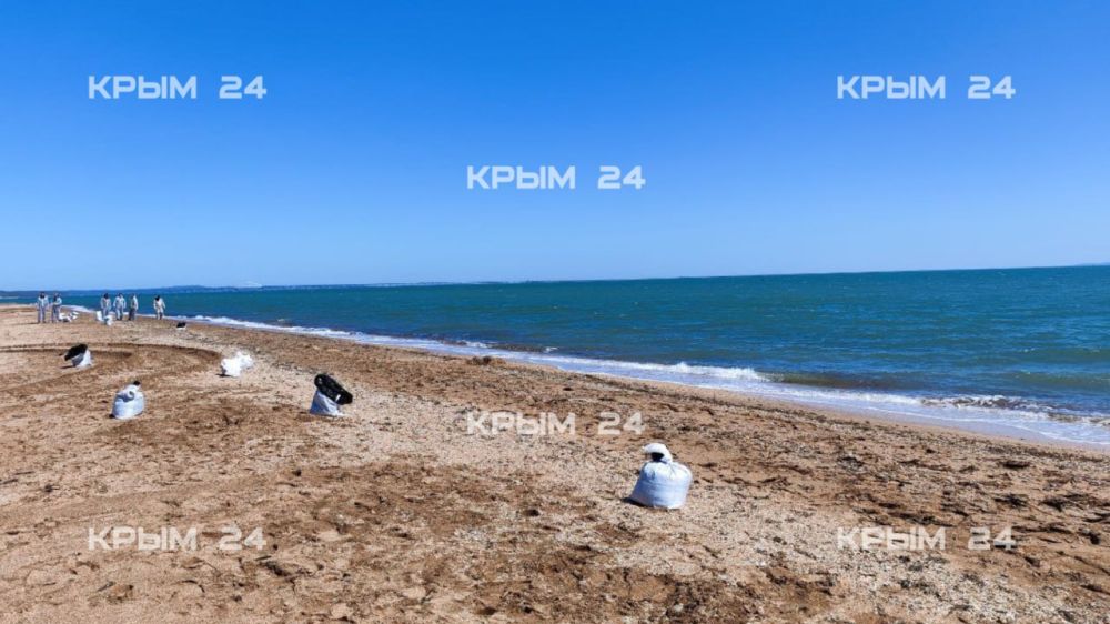 С городского пляжа в Керчи собрали 150 мешков загрязненного мазутом песка и грунта С городского пляжа в Керчи собрали 150 мешков загрязненного мазутом песка и грунта