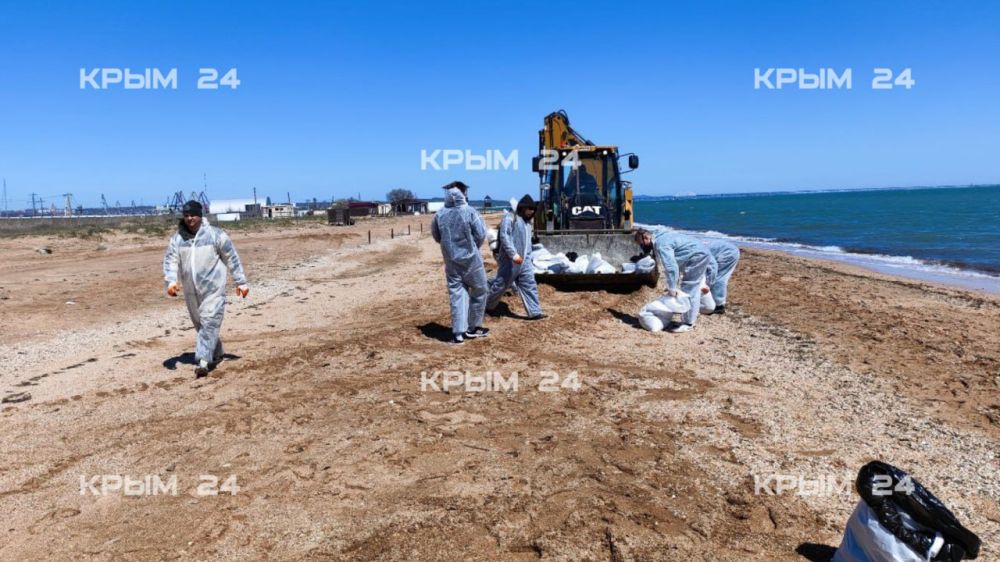 С городского пляжа в Керчи собрали 150 мешков загрязненного мазутом песка и грунта С городского пляжа в Керчи собрали 150 мешков загрязненного мазутом песка и грунта