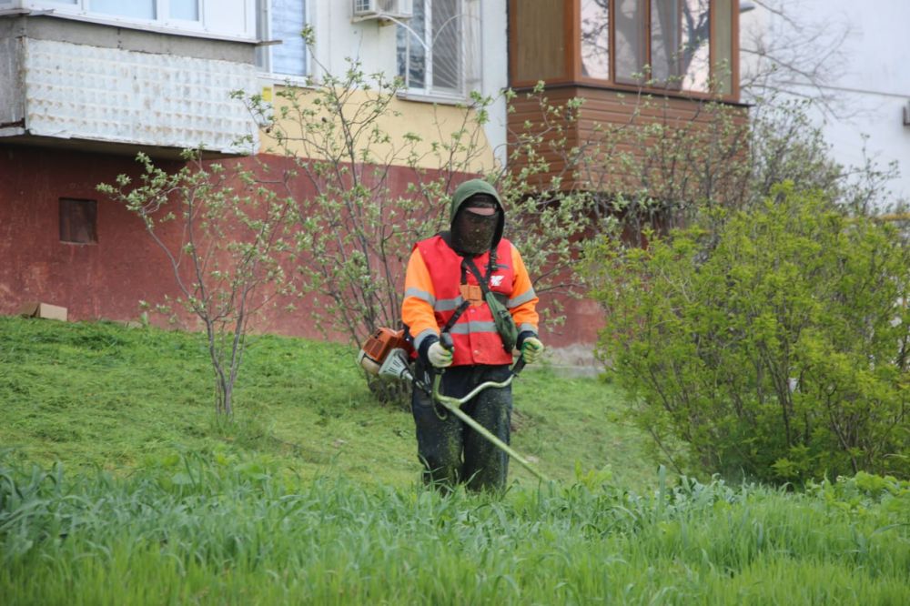 #жкх. Управляющие организации приступили к покосу травы во дворах МКД #жкх. Управляющие организации приступили к покосу травы во дворах МКД