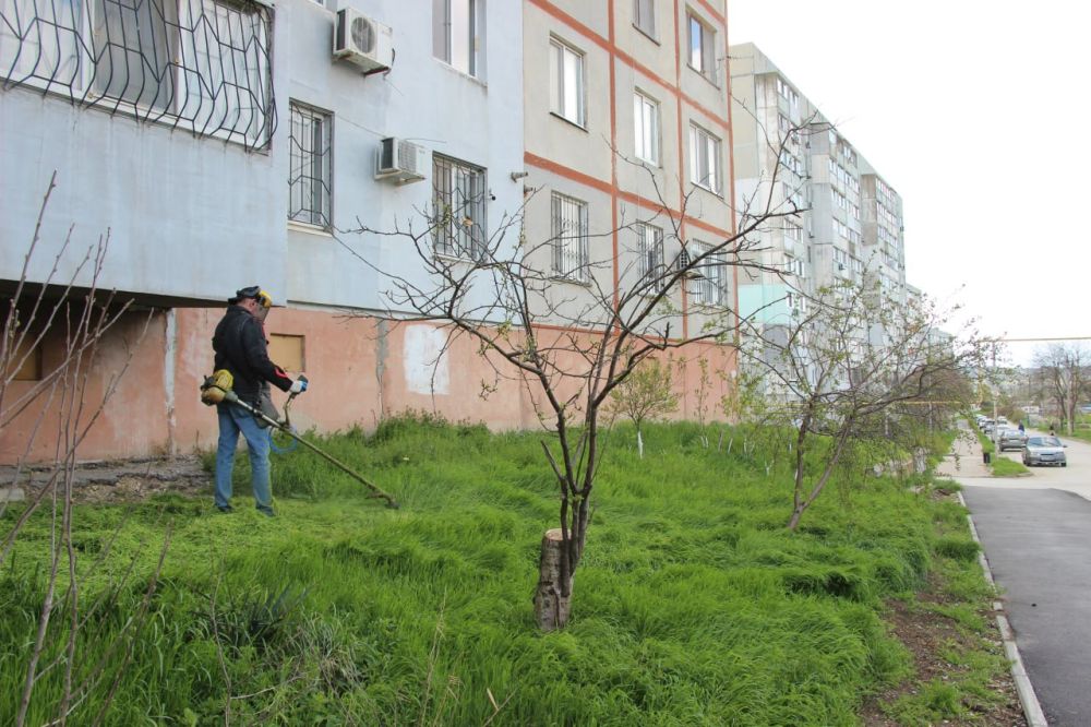 #жкх. Управляющие организации приступили к покосу травы во дворах МКД #жкх. Управляющие организации приступили к покосу травы во дворах МКД