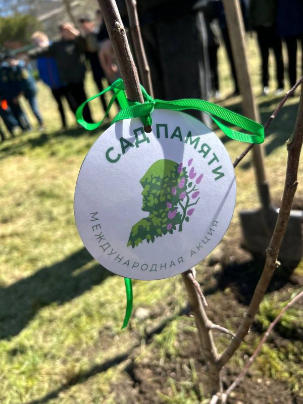 14 апреля МБОУ «Школа-гимназия, детский сад № 25» приняла участие в Международной акции «Сад памяти», посвященной памяти тех, кто защищал нашу Родину в годы Великой Отечественной войны 14 апреля МБОУ «Школа-гимназия, детский сад № 25» приняла участие в Международной акции «Сад памяти», посвященной памяти тех, кто защищал нашу Родину в годы Великой Отечественной войны