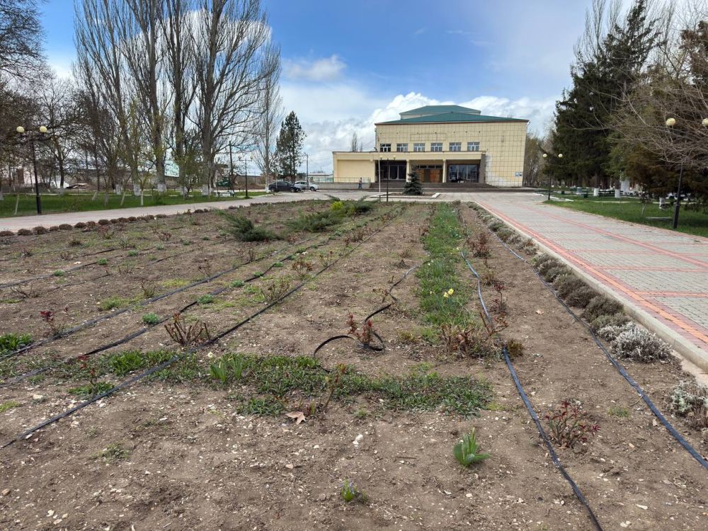 Антон Кравец: С радостью поделюсь информацией о саженцах роз, которые успешно перезимовали и готовы к новому сезону!