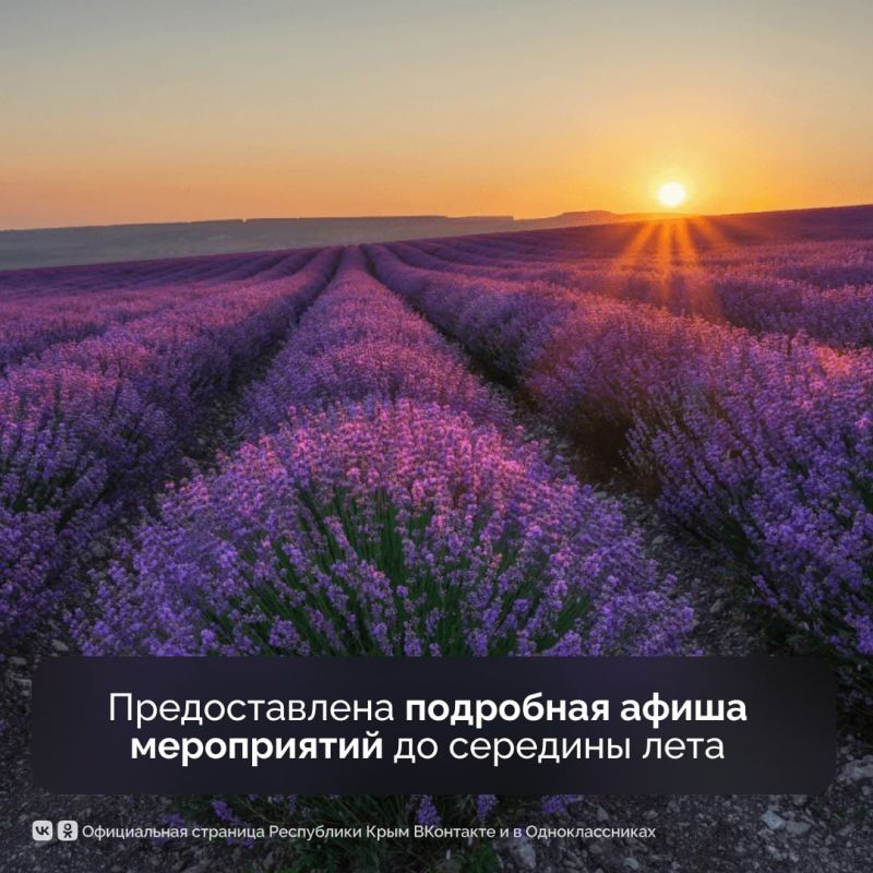 В Крыму разработали маршрут в формате квеста по цветущим локациям В Крыму разработали маршрут в формате квеста по цветущим локациям