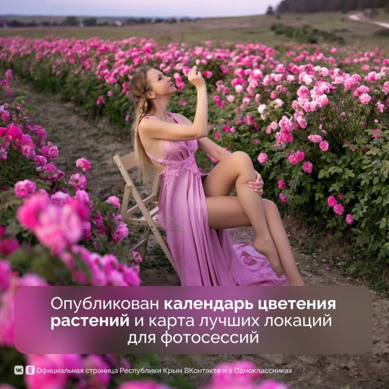 В Крыму разработали маршрут в формате квеста по цветущим локациям В Крыму разработали маршрут в формате квеста по цветущим локациям