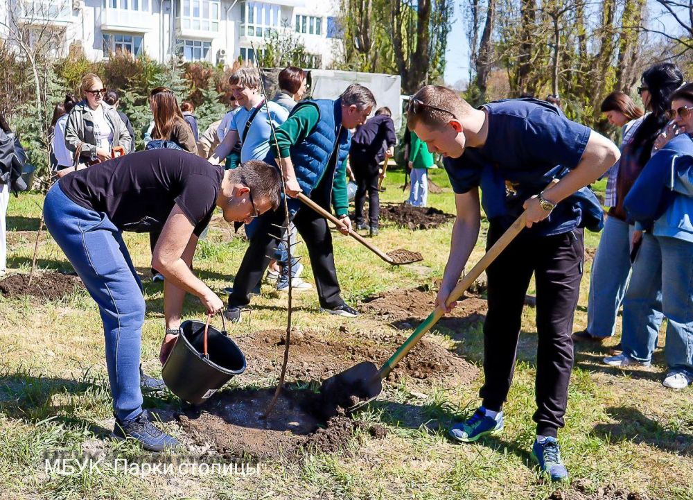В Симферополе высадили аллею из 30 декоративных миндалей В Симферополе высадили аллею из 30 декоративных миндалей