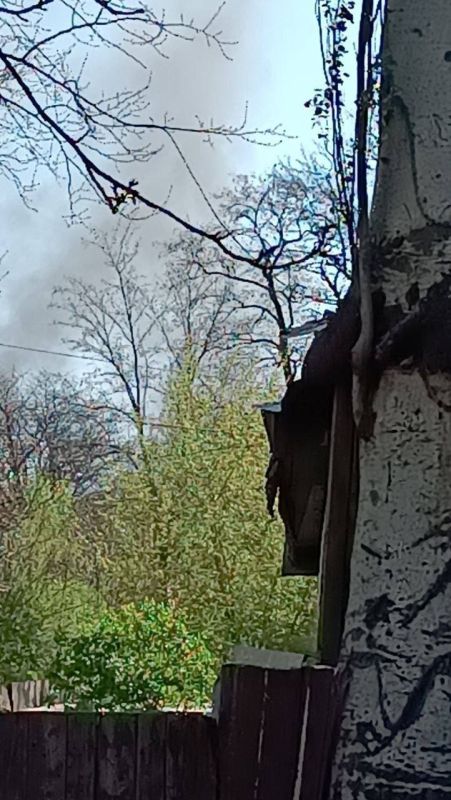 Олег Царёв: Данные о соблюдении Пасхального перемирия Олег Царёв: Данные о соблюдении Пасхального перемирия