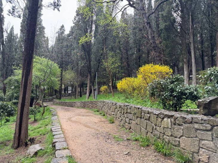 � ���� �������� ����������, ������� ����� ������������� � 2026 ���� � ������ ������������ ������� ������������� ���������� ��������� ������