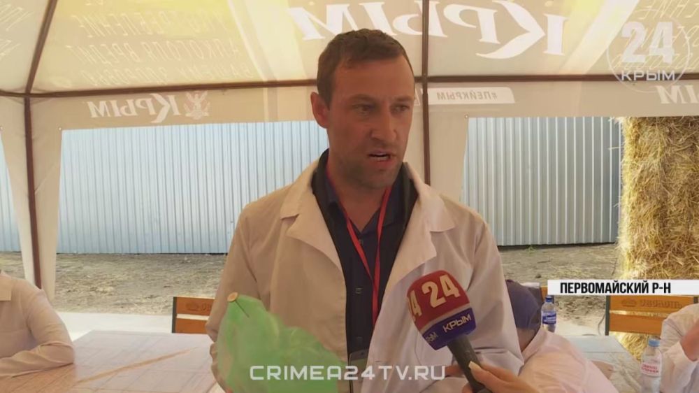 � ������������ ������ ������ ������� ������������ � �����������