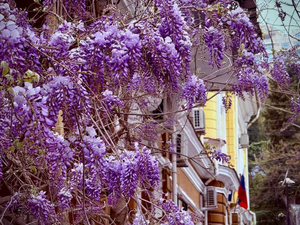 ����� ��������: ���� � ������ �������� �����