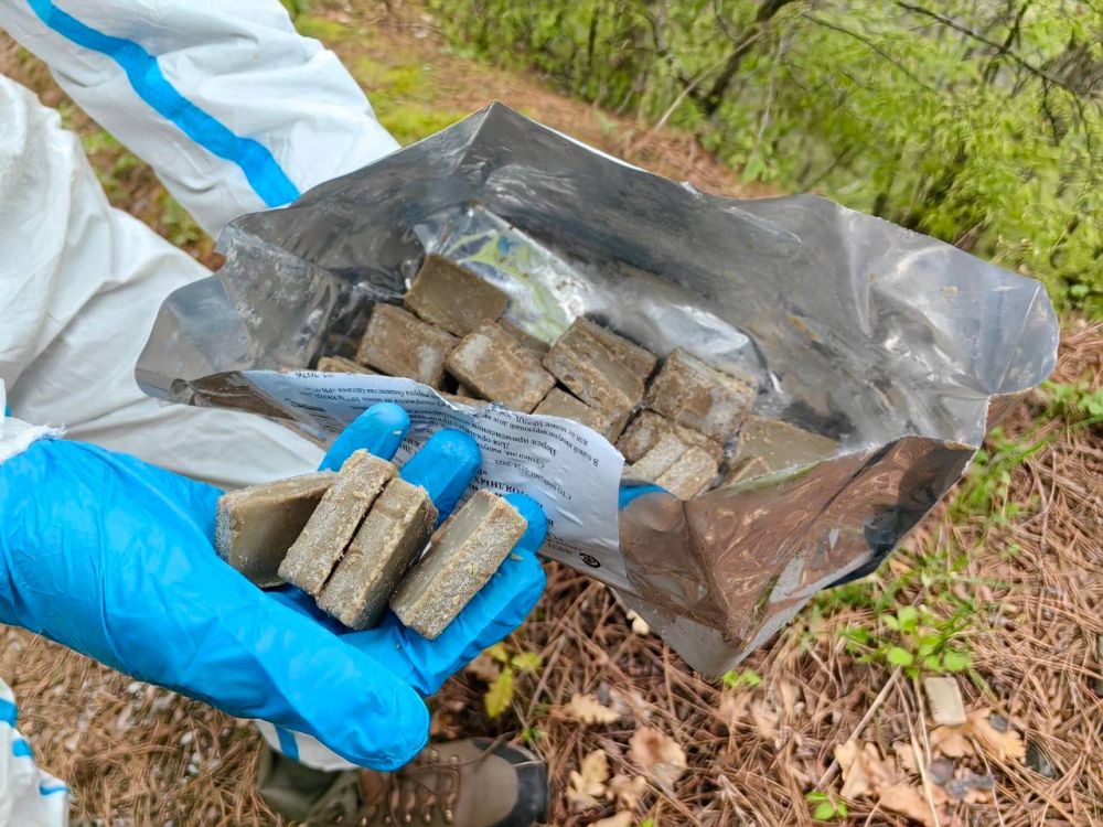Диких животных в заповедниках Крыма вакцинировали от бешенства Диких животных в заповедниках Крыма вакцинировали от бешенства