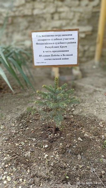 Сотрудники аппаратов судебных участков мировых судей Республики Крым также поддержали прекрасную традицию по проведению субботников