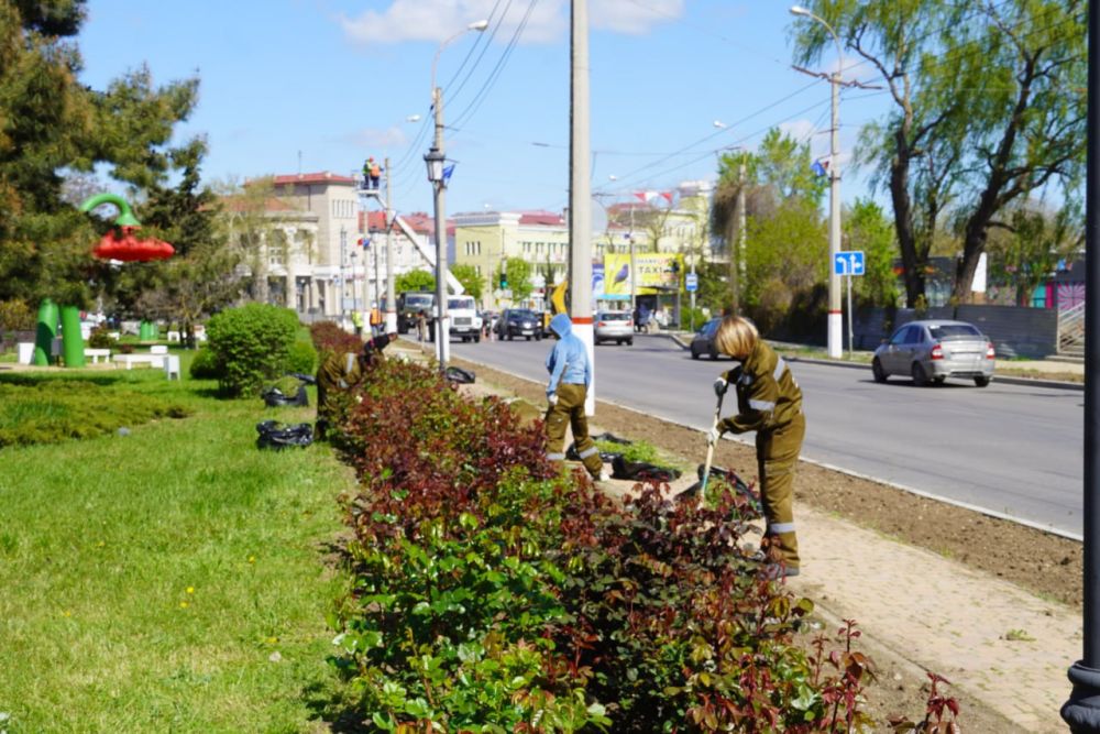 #зеленые_насаждения. С установлением сухой теплой погоды в Керчи активизировались работы по поливу зеленых насаждений #зеленые_насаждения. С установлением сухой теплой погоды в Керчи активизировались работы по поливу зеленых насаждений