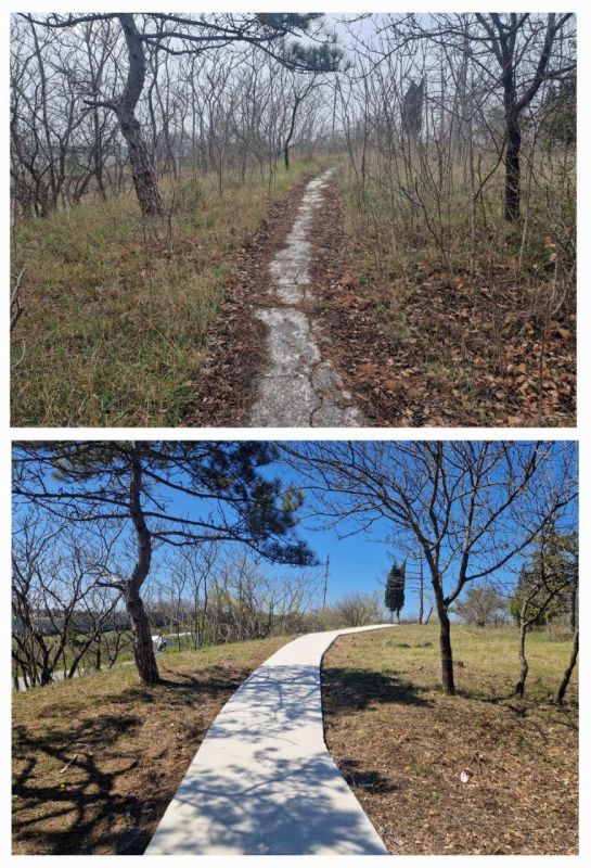 � ����������� ������� � ������� �������� ���������� ���������� ������� � 1941-1942 �����, ������������� �� 13-� ��������� ���������������� �����