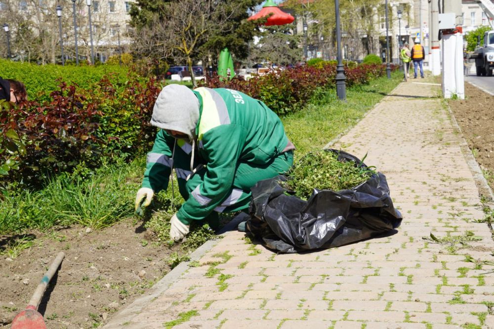 #зеленые_насаждения. С установлением сухой теплой погоды в Керчи активизировались работы по поливу зеленых насаждений #зеленые_насаждения. С установлением сухой теплой погоды в Керчи активизировались работы по поливу зеленых насаждений