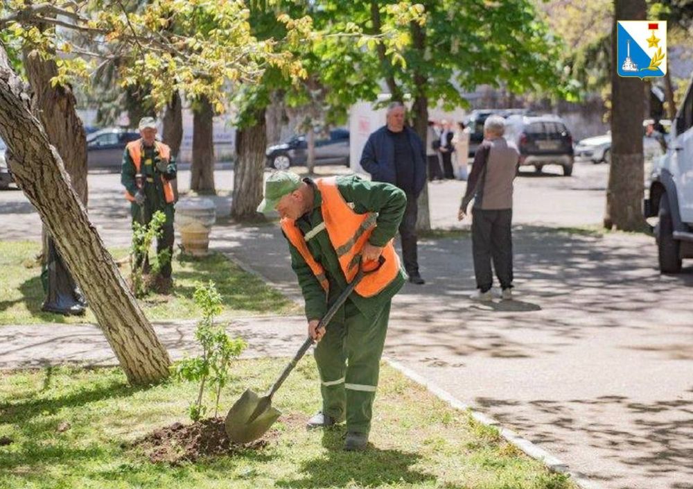 В сквере героев СССР высадили молодые кустарники В сквере героев СССР высадили молодые кустарники