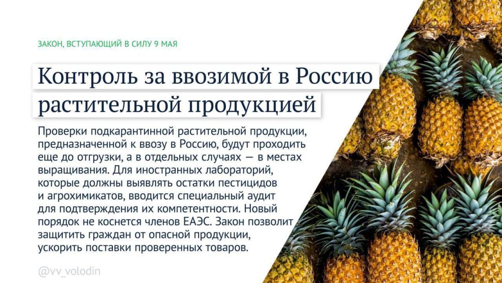 Владимир Немцев: Какие законы вступают в силу в мае 2025 года Владимир Немцев: Какие законы вступают в силу в мае 2025 года