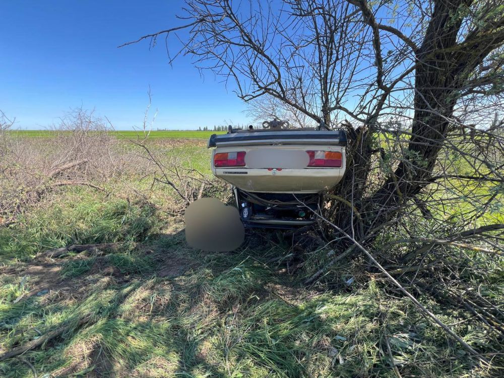 ����������� ��� � ����� ������ ����� ����� ������� �� ����