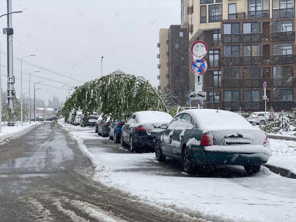 Новости к этому часу:. Вашингтон больше не будет играть роль посредника в переговорах между Россией и Украиной, заявила официальный представитель Госдепа Тэмми Брюс Новости к этому часу:. Вашингтон больше не будет играть роль посредника в переговорах между Россией и Украиной, заявила официальный представитель Госдепа Тэмми Брюс